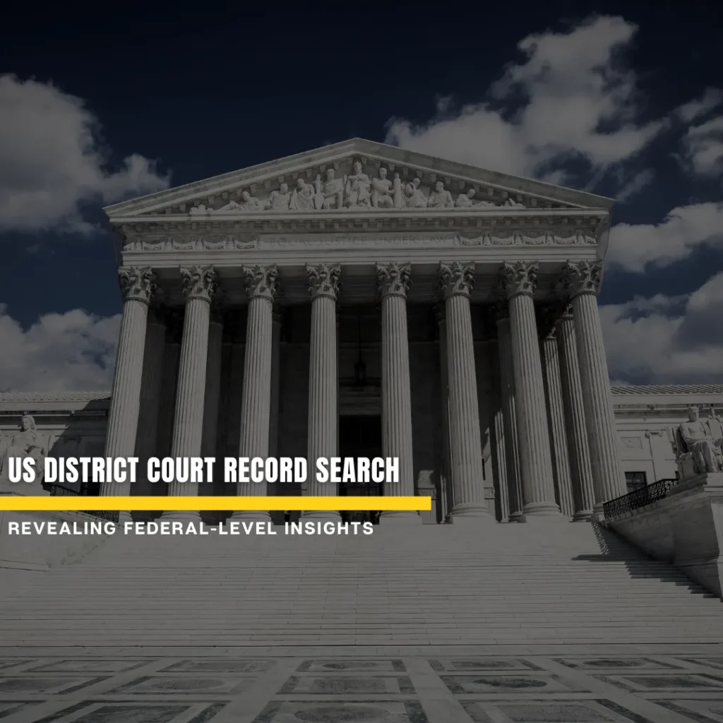 decade long state district felony conviction history check (copy)